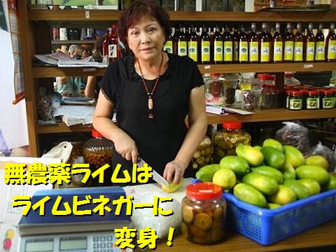 台湾の有機ライム3